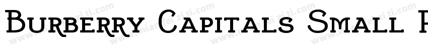 Burberry Capitals Small Regular字体转换